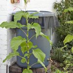 garbageBinRainBarrel