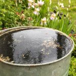 RainBarrel-1-1