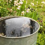 RainBarrel-1