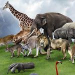 SortingAllSortsOfAnimalsImage (1)