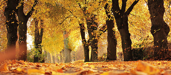 Partir sur de bonnes bases écolos !