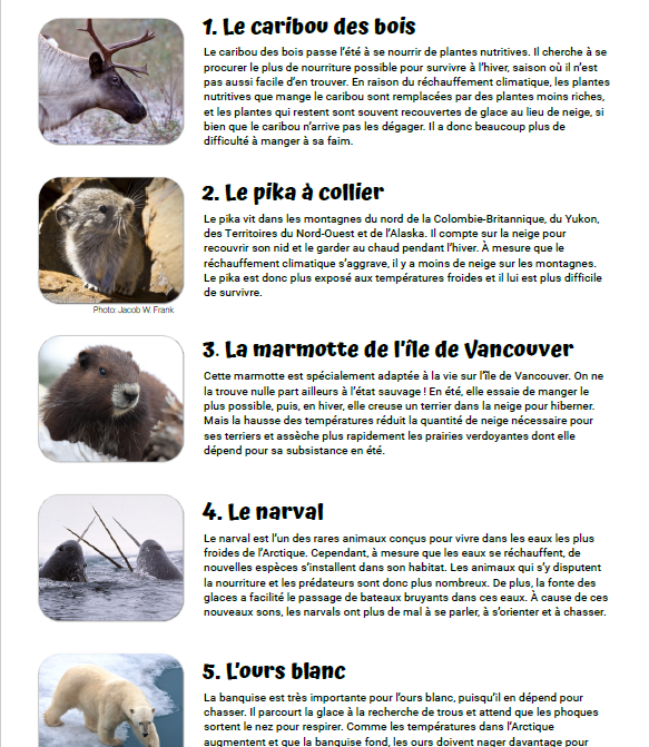 Screenshot 2023-09-21 135049