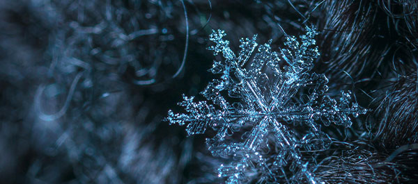 5 activités écolos approuvées par les élèves