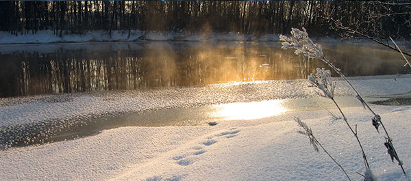 Aventures en conservation