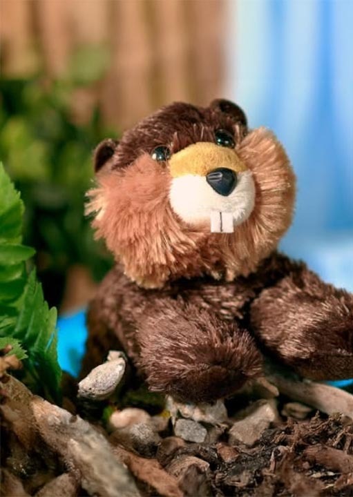 Adoptez une mascotte de classe