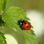 copy-pexels-gosia-k-23254118-31912557-1