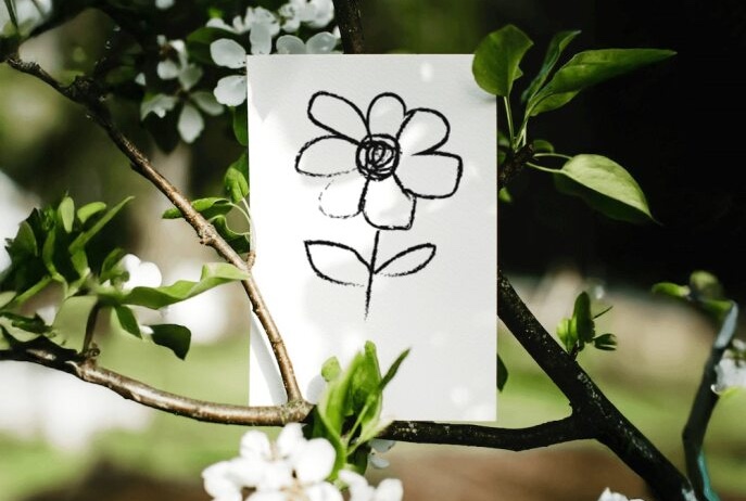 Cartes pour la planète