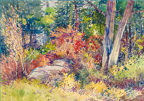 SORTIR DEHORS : COMMENT PROFITER DU PLEIN AIR AVEC VOTRE CLASSE