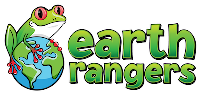 Éco Héros Homeroom