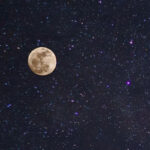 dark-skies-happy-animals