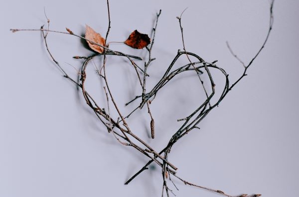 Art naturel éphémère