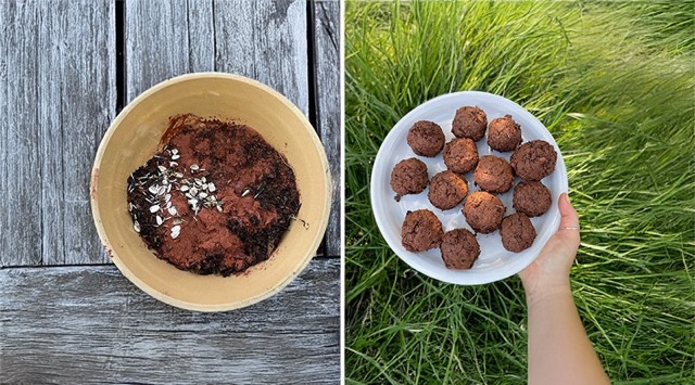 Équipe de graines sauvages