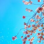 spring-banner-1