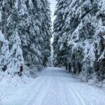 winter-quest